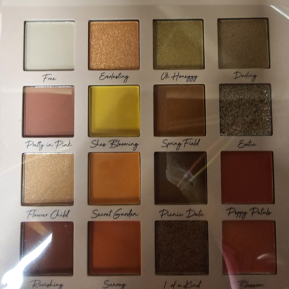 Be Bella Cosmetics Eye Shadow Pallet